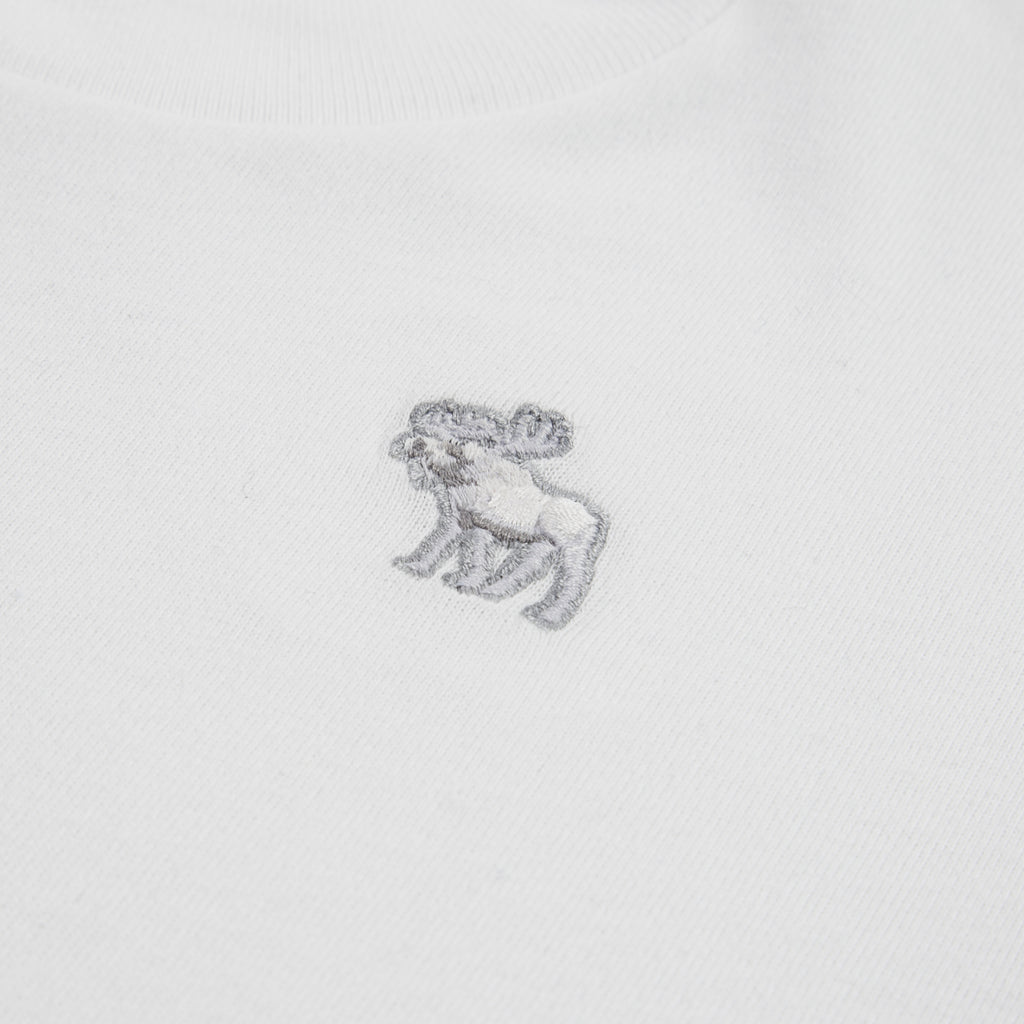 Abercrombie Essential T-skjorte-T-skjorte-Abercrombie-Junior Barneklær