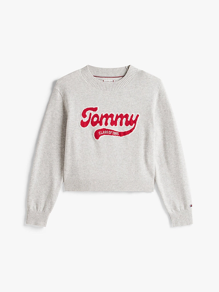Tommy Hilfiger Tommy Logo Genser-Genser-Tommy Hilfiger-Junior Barneklær