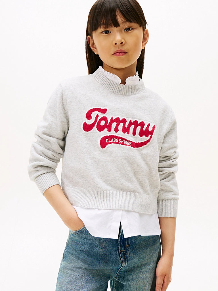 Tommy Hilfiger Tommy Logo Genser-Genser-Tommy Hilfiger-Junior Barneklær